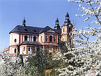 Kostel Nanebevzet Panny Marie - Petice (kostel)