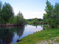 Biocentrum Hosena -  Dubicko (vodn biotop)