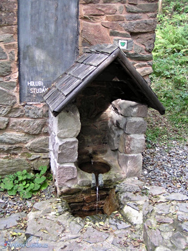 foto Holubí studánka - Vísky u Jevícka (pramen)