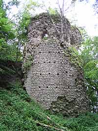 Zřícenina hradu Kynžvart - Lázně Kynžvart( zřícenina hradu)