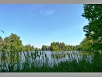 Zmeck rybnk - Lednice (rybnk) - 