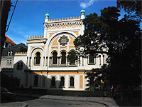 
                        panlsk synagoga - Praha 1 (synagoga)