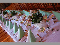 Pod Trmkama - Vikovice (pension, restaurace) - Restaurace