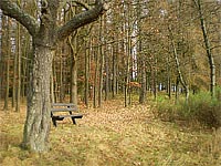Kaple sv. Vojtcha - Mto (kaple) - Laveka v okol kaple