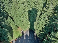 Klostermannova rozhledna - Javornk (rozhledna) - 