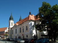 Kostel sv. Jana Nepomuckho - Romitl pod Temnem (kostel) - 