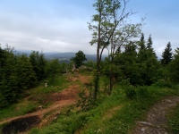 Rozhledna tpnka u Pchovic (rozhledna) - 