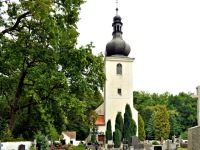 Hbitovn kostel  sv. Albty - Tebo (kostel) - Kostel.