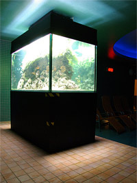 Kryt bazn st nad Orlic (bazn) - Aquarium