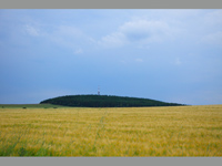 Rosika (vrchol)
