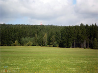 
                        Sadka (vrchol)