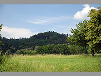 Bludov - Hradisko (zanikl hrad) - Vrcholek Hradiska