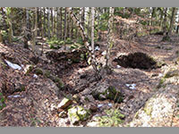 Hrdek Bradlo - Doln Olenice (zanikl hrad) - 