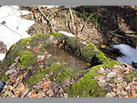 Hrdek Bradlo - Doln Olenice (zanikl hrad) - 