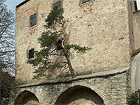 Buchlov (hrad) - 