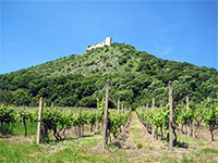 Dviky (zcenina hradu) - 