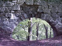 Dvn (zcenina hradu) - 