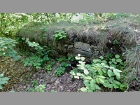Hrad Holoubek - Tebenice (zcenina hradu) - 