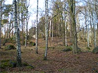 Svtovina (vrchol) - Pod vrcholem