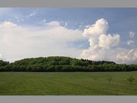 Sko (vrchol) - Sko - od Synalova (JV)