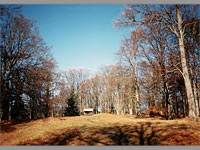 Temn (vrchol) - 