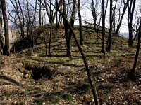 Star hrad - Kcov (zcenina hradu) - 