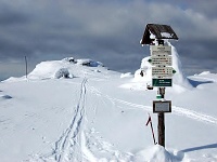 foto Pecn - Hrub Jesenk (vrchol)