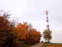 Veselsk Chlum (vrchol) - Vysla na vchodnm bo