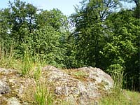 Vlastec (vrchol) - Vrcholov st Vlastce 