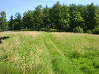 Vlastec (vrchol) - pod vrcholem Vlastce
