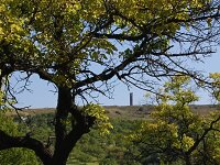 Vhon (vrchol) - Vrchol Vhon s rozhlednou