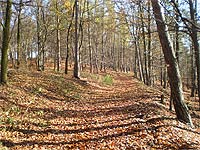 Mile (vrchol) - 