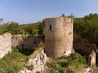 foto Valdek (zcenina hradu)