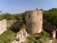 Valdek (zcenina hradu) - Valdek