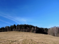 Ostra hora (vrchol) - Louka pod vrcholem (foto: Jan)