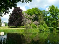 Loun nad Desnou (zmek) - Park u zmku