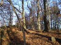 Palc (vrchol) - Na Pacli