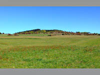 Pansky vrch (vrchol) - Pansk vrch u Trpna - 699 m.n.m. na  Vysoin
