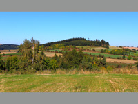 Pansky vrch (vrchol) - Pansk vrch u Trpna - 699 m.n.m. na  Vysoin