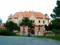 Vrchotovy Janovice (hrad, zmek) - 