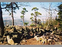 Pleivec - Brdsk vrchovina (vrchol) - Fabinova zahrdka