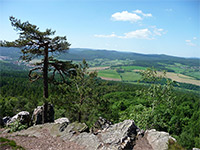 Pleivec - Brdsk vrchovina (vrchol) - Pleivec