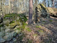 Sedleck hrad - Sedlec (zcenina hradu) - 