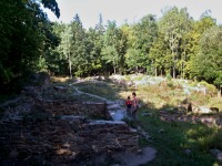 Hrad Sion (zcenina hradu) - 