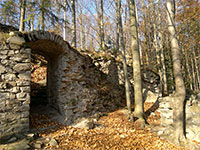 Rychleby (zcenina hradu) - Rychleby