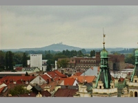 Zelen brna - Pardubice (v) - 
