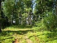 Koka (vrchol) - Na vrcholu