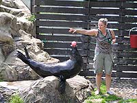 ZOO Praha - Praha 7 (zoo) - 