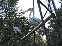 ZOO Plze (zoo) - 