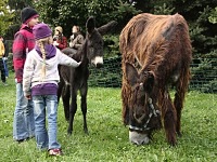 ZOO park - Vykov (zoo) - 